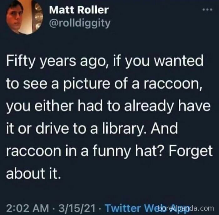 Funny science meme tweet about the difficulty of finding a picture of a raccoon, especially in a funny hat, 50 years ago.