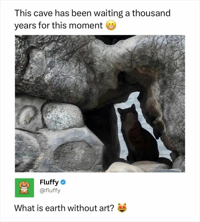A black cat sits dramatically in a cave-like rock formation, resembling a majestic predator, perfect for animal memes.