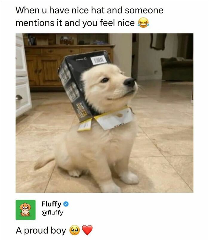A golden retriever puppy wearing a box on its head like a hat, looking proud. This wholesome animal meme will heal your soul.