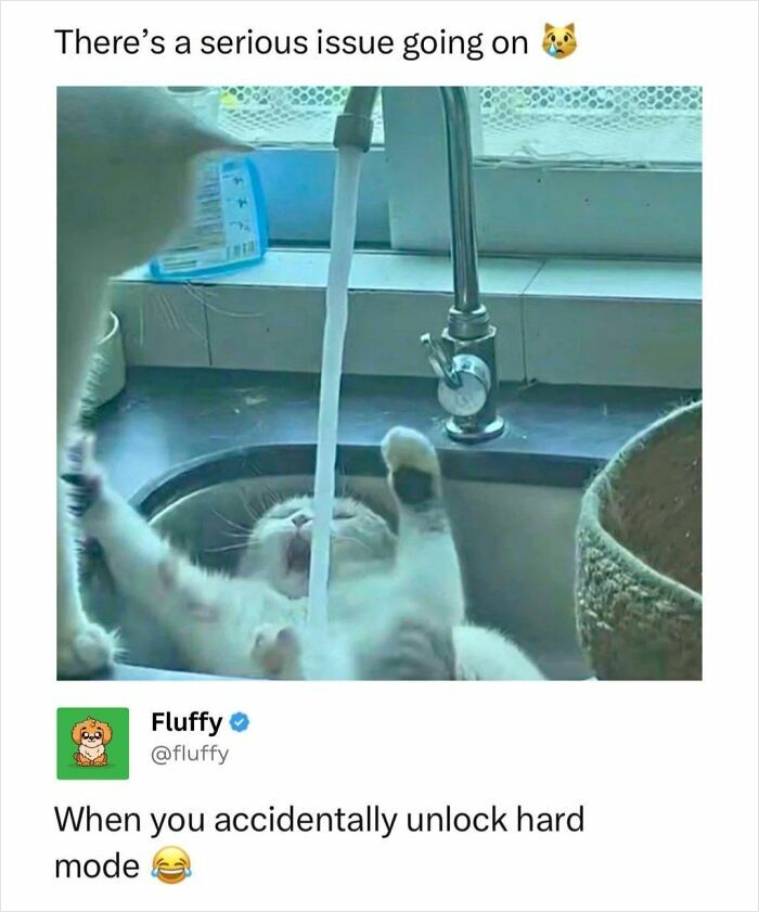 A wholesome animal meme of a cat playfully struggling with a faucet, enjoying water.