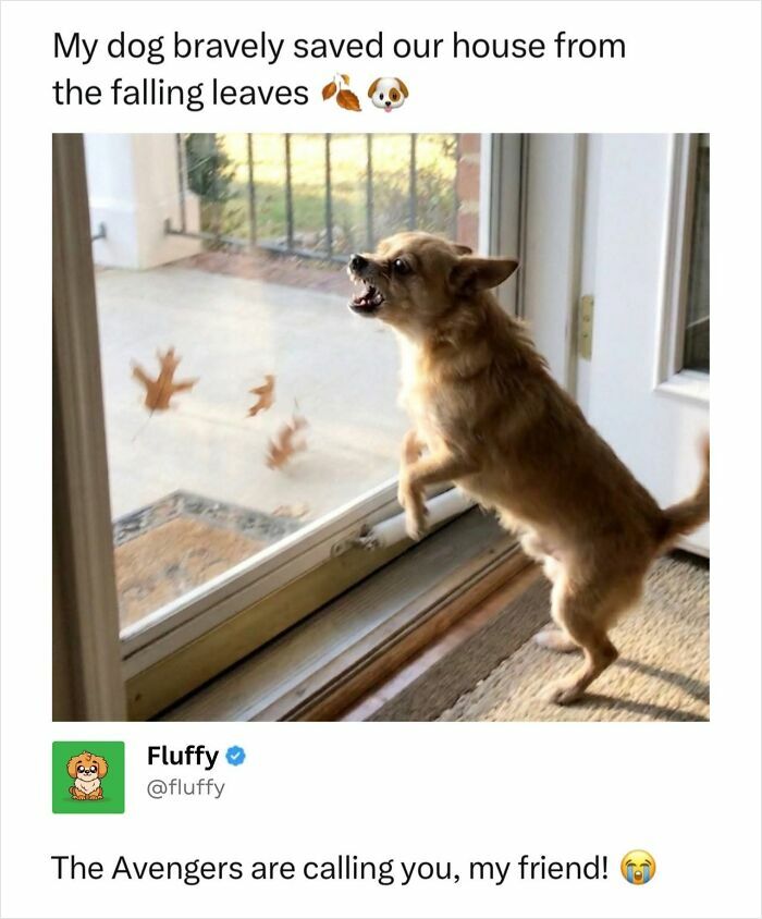A wholesome animal meme of a small dog barking at leaves through a glass door.