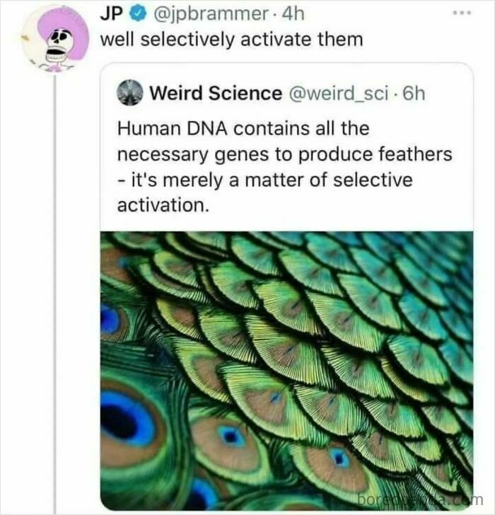 Funny memes about human DNA and feathers, Weird Science tweet, not taking science too seriously.
