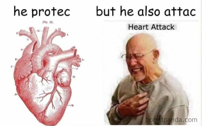 A funny science meme showing a diagram of a heart next to an image of a man having a heart attack.