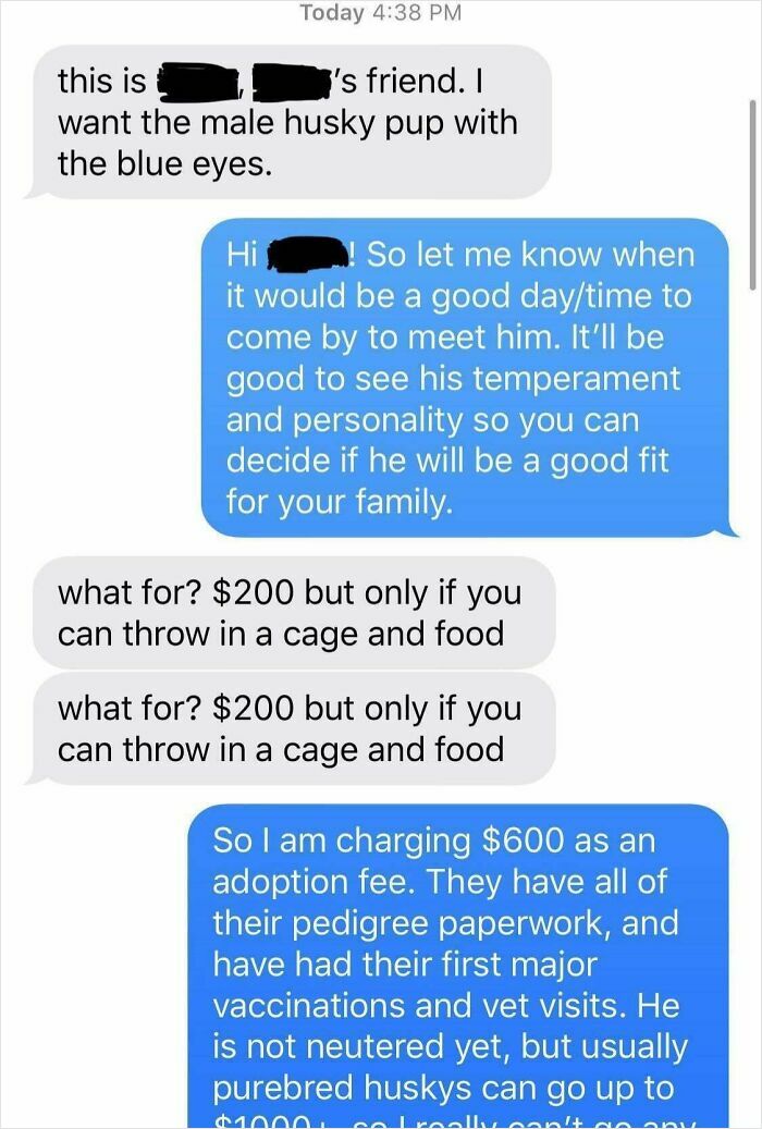 A text message conversation where a choosing beggar demands a husky puppy with a cage and food for $200.
