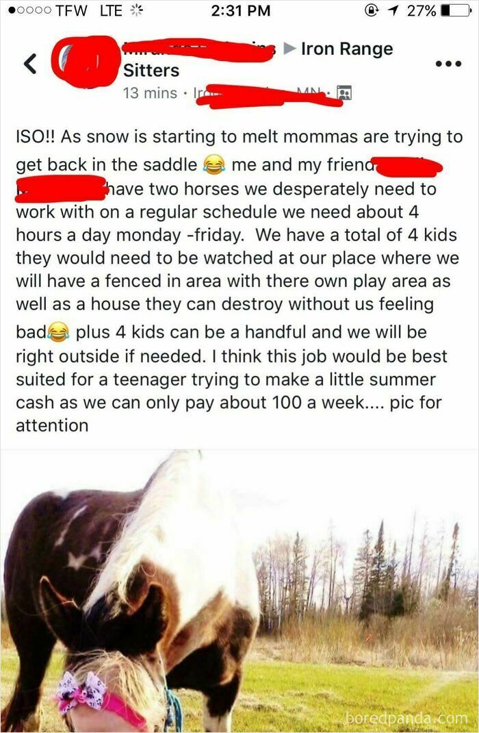 A social media post from a choosing beggar seeking a cheap babysitter for four kids and two horses, offering low pay.