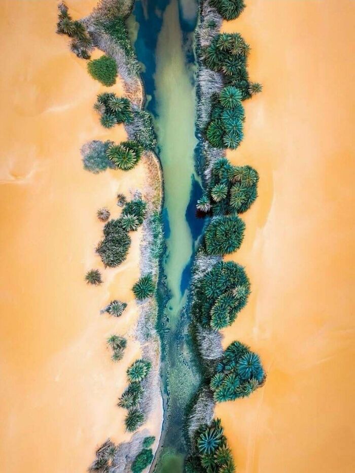 An Aerial Shot Of Am Alma Lake Captures A Hidden Oasis In The Sahara Desert