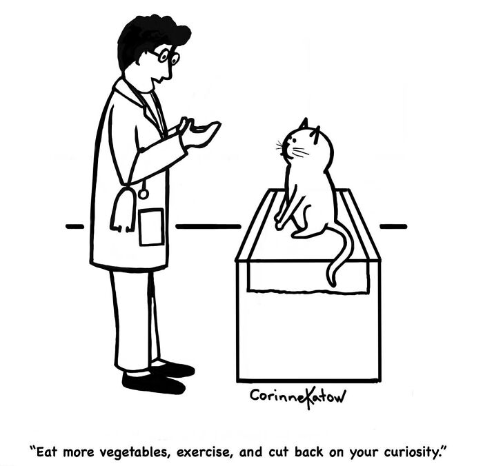 A Corinne Katow single-panel cartoon shows a vet telling a cat to cut back on curiosity. Brilliant jokes everyday life.