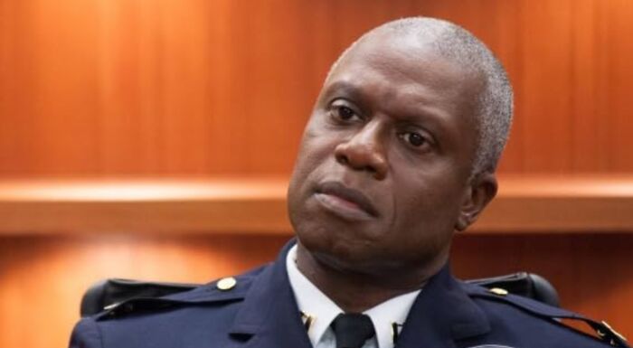 Captain Raymond Holt in his profession uniform, looking stoic. The TV show character's solemn expression.