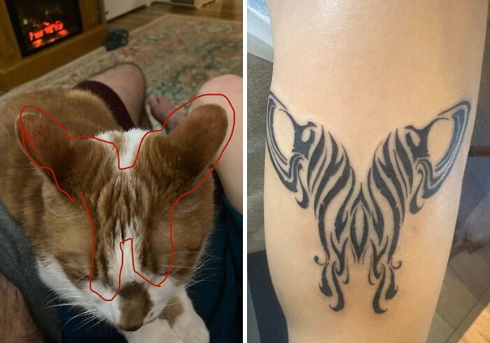 Stunning tattoos: A split image showing an orange and white cat with red outlines on its head, next to an abstract black tribal tattoo.