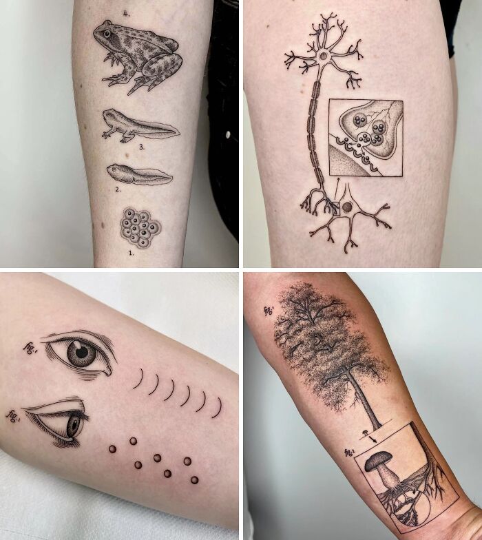 Stunning tattoos: A collage of four scientific-themed tattoos including a frog's life cycle, a neuron, eyes, and a tree with a mushroom.