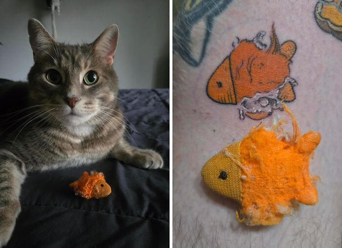A split image showing a cat next to a small, worn orange fish toy, and a tattoo of a similar fish with a torn effect. A stunning tattoo.