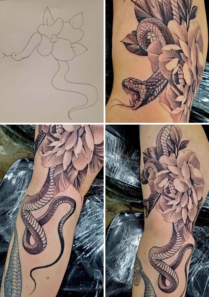 A four-panel image showing the progression of a stunning snake and floral tattoo, from sketch to finished piece, illustrating stunning tattoos.