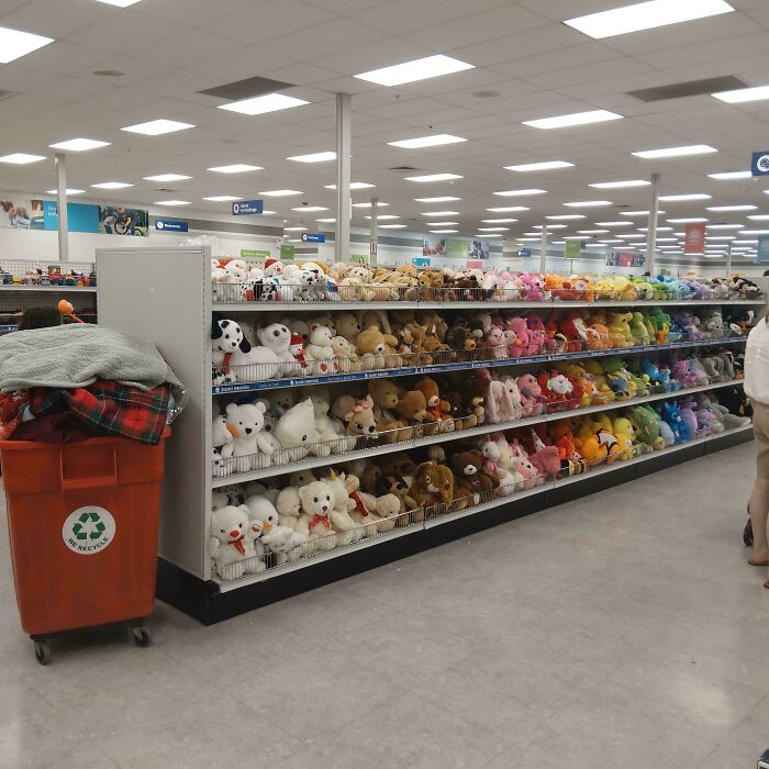 Rows of colorful stuffed animals on shelves in a brightly lit thrift store, a potential jackpot for shoppers.