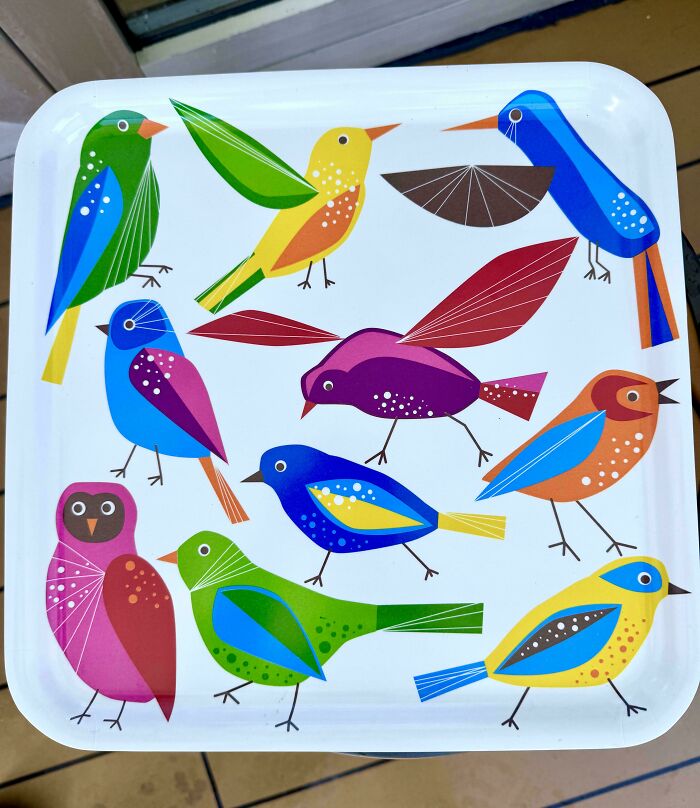A white tray adorned with colorful, whimsical bird illustrations, a delightful jackpot discovery at a thrift store.