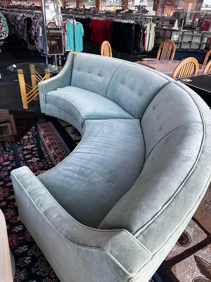 A beautiful light blue curved sofa, a thrift store jackpot find, ready to be a centerpiece in a stylish living room.