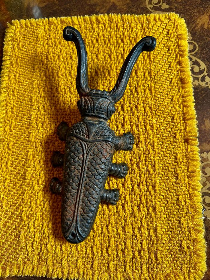 A unique cast iron beetle-shaped boot puller, a jackpot find at the thrift store.
