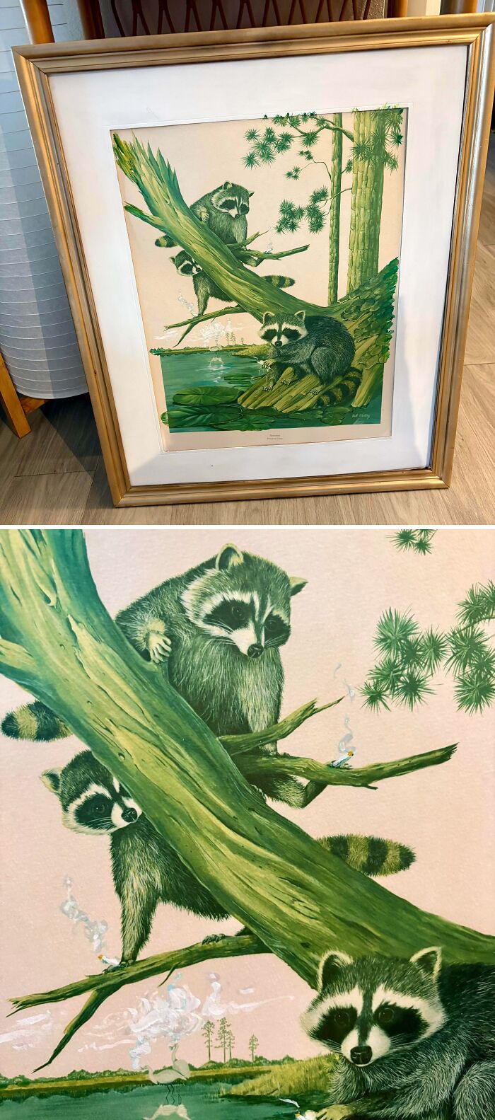 A framed vintage painting featuring raccoons in a forest, a artistic jackpot from the thrift store.