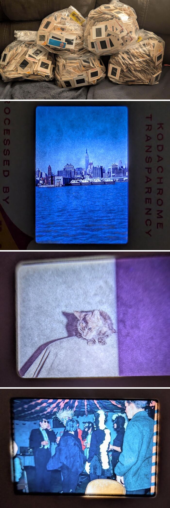 Various images from old slides, including a cityscape, a cat, and a party, a jackpot discovery from a thrift store.