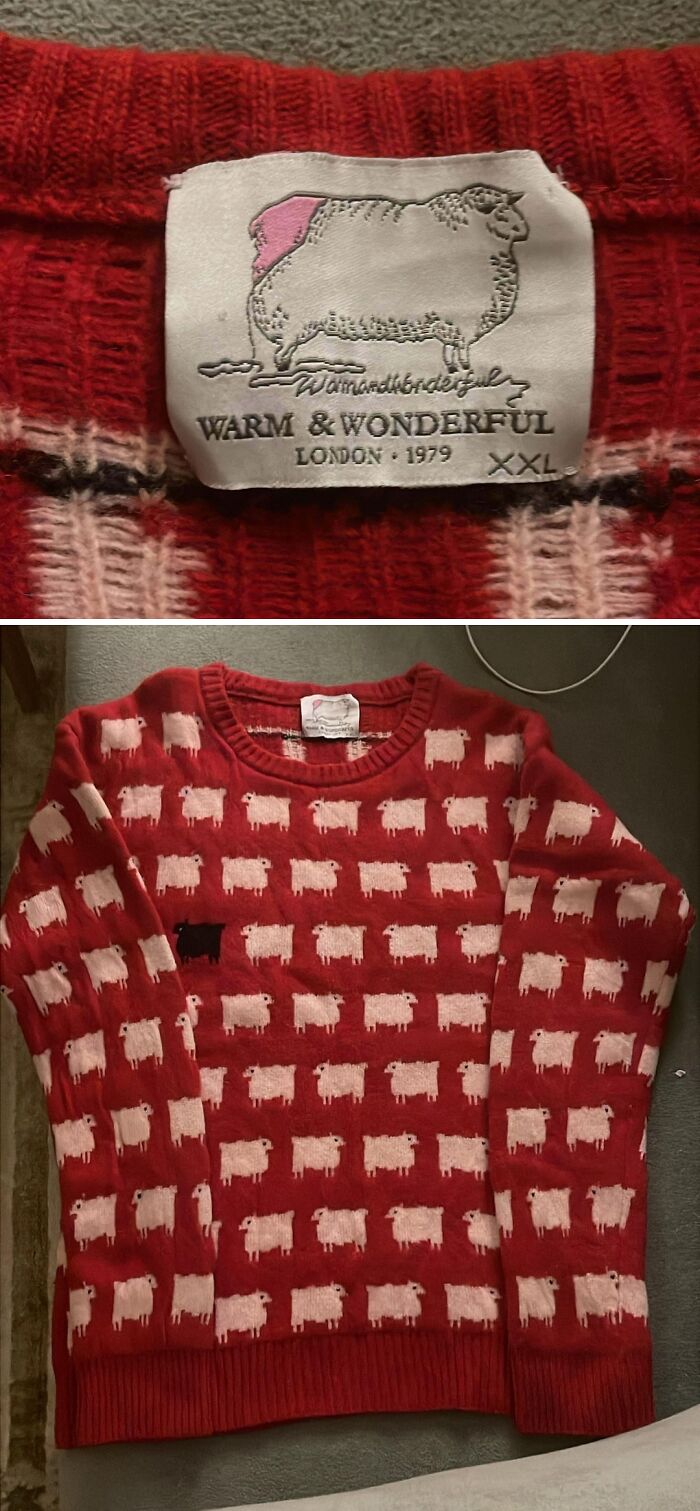 A close-up of a Warm & Wonderful sheep sweater label and the full sweater, a jackpot item from a thrift store.