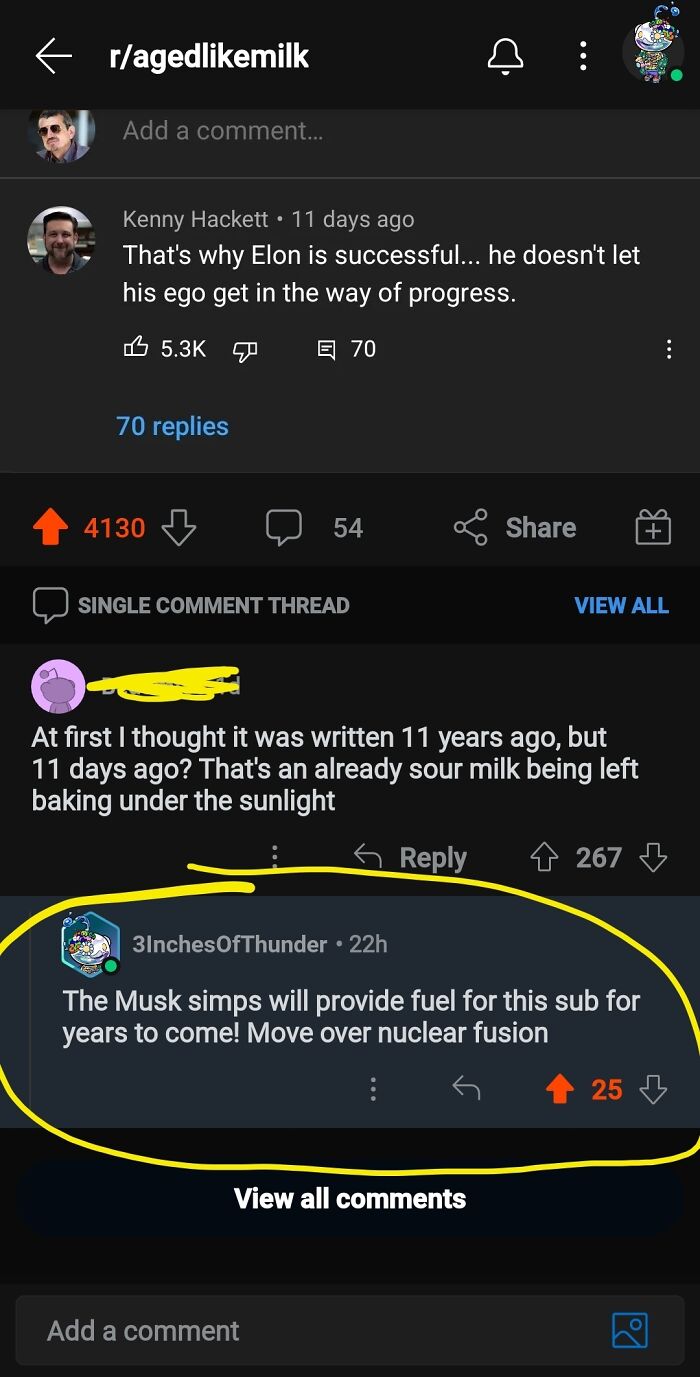 A Reddit screenshot showing a comment about Elon Musk and his ego, illustrating things that aged poorly.