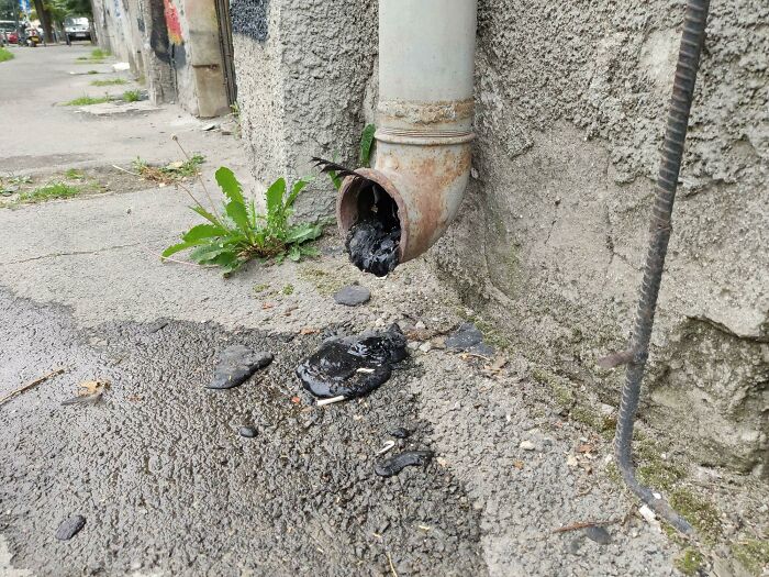 Black, tar-like substance melting and dripping out of a rusty downspout onto the pavement.