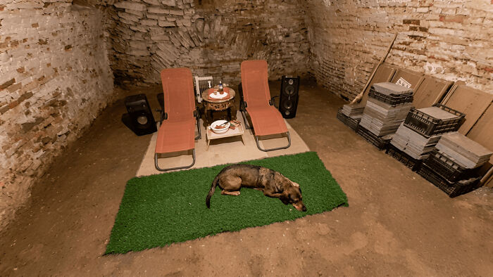 A dog lying on an artificial grass mat inside a brick archway, illustrating summer melting.