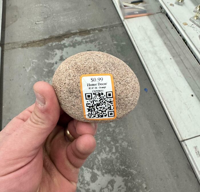 A hand holding a rock labeled 'Home Decor' for $0.99, an unusual thrift store jackpot.