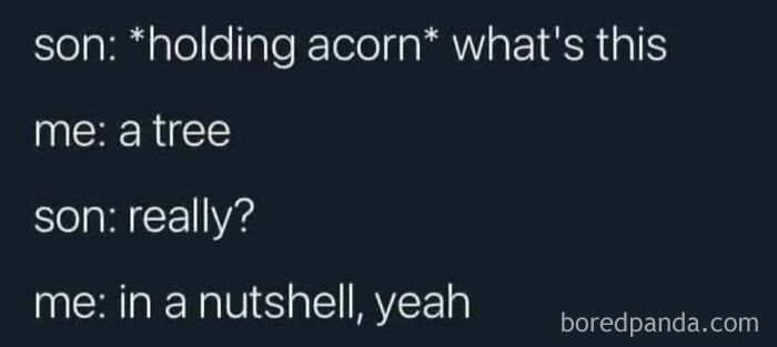 A funny science meme text post about an acorn being a tree in a nutshell.