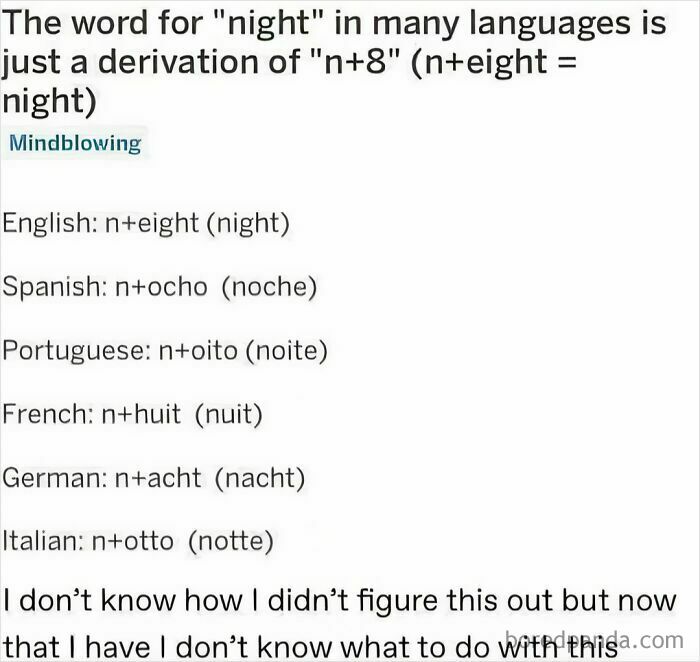 A funny meme explaining the etymology of the word night in various languages, highlighting funny memes.