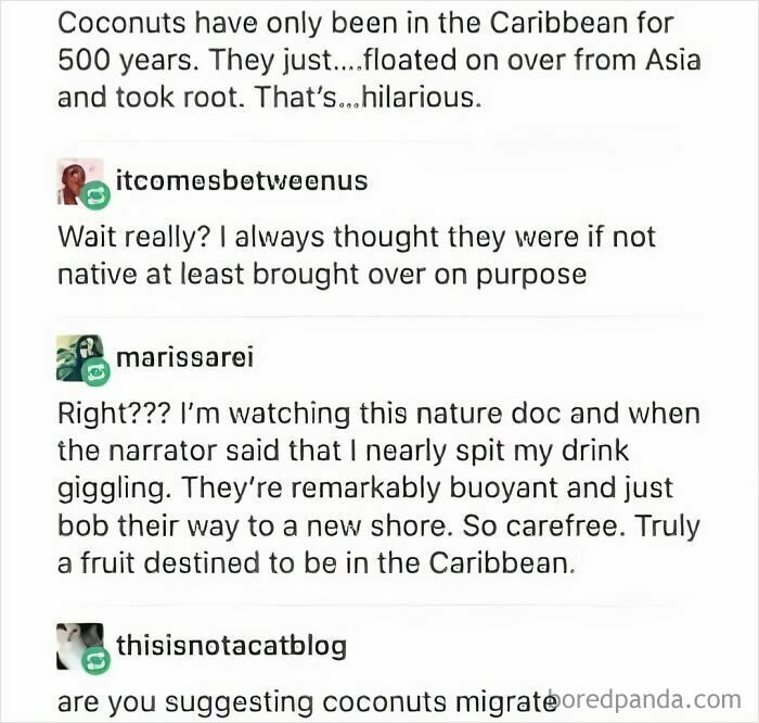 Funny science meme discussing coconuts migrating to the Caribbean, highlighting interesting science facts.