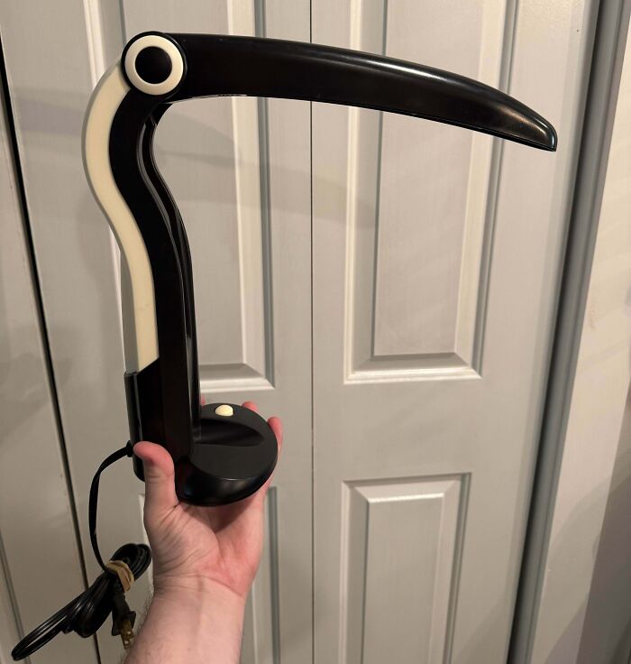 Unusual black and white toucan-shaped lamp held by a hand, a unique thrift store find.