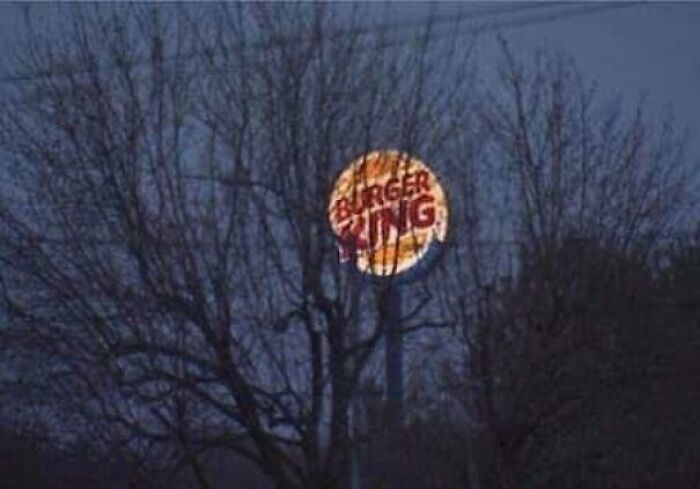 A confusing pic of a Burger King sign mostly obscured by dark tree branches at night, a misleading headline.