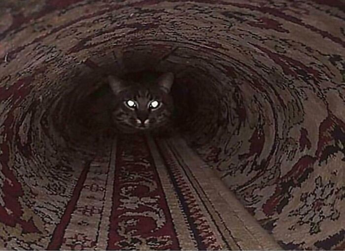 A confusing pic of a cat with glowing eyes peeking out from a rolled-up patterned rug, creating a misleading image.
