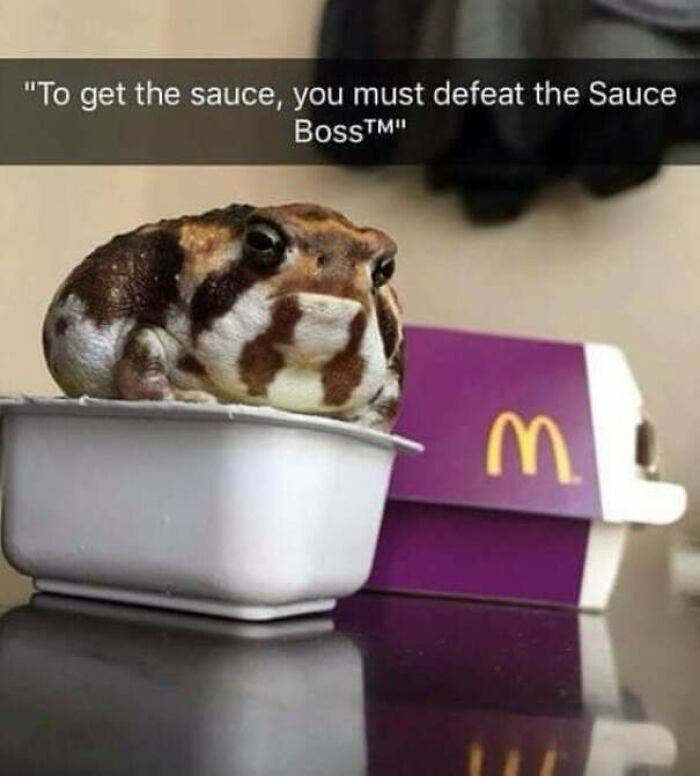 A confusing pic of a toad, nicknamed the Sauce Boss, sitting in a McDonald's sauce container next to a McNuggets box.