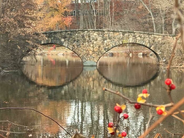A confusing pic of a stone bridge over water, reflecting to create the illusion of two giant, staring eyes.