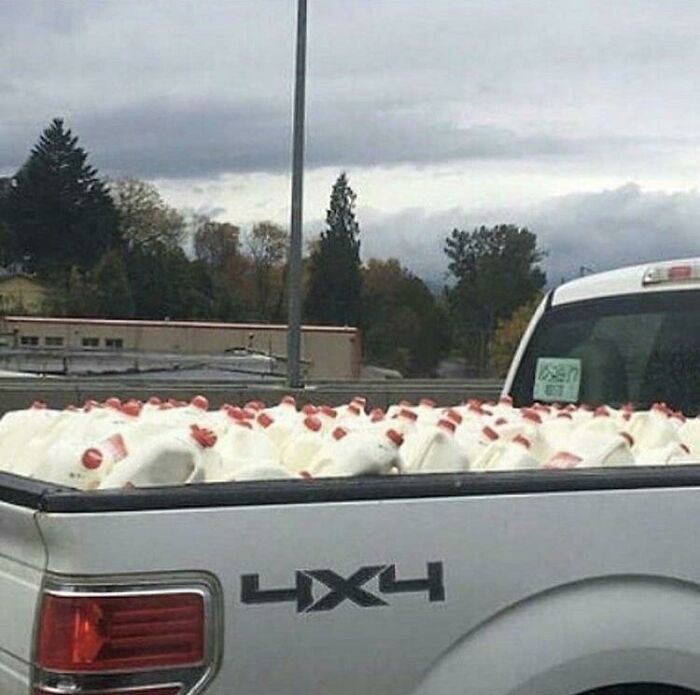 The back of a white 4x4 pickup truck filled with numerous white gallon jugs with red caps, a confusing pic with misleading headlines.