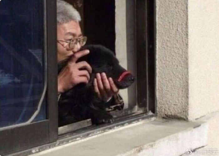 A man with glasses holding a black dog with red lips painted on, peeking out of a window, a confusing pic with misleading headlines.