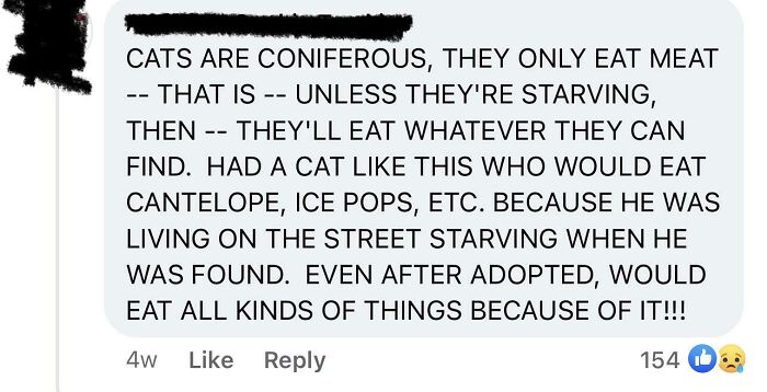 A Facebook post incorrectly stating cats are coniferous and eat meat, showcasing a dumb person with low IQ.