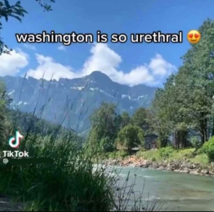 A TikTok video with the caption Washington is so urethral above a scenic mountain view, a humorous low IQ gaffe.