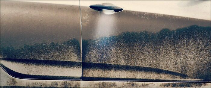 Confusing pic of a dirty car door with grime creating an illusion of a forest landscape.