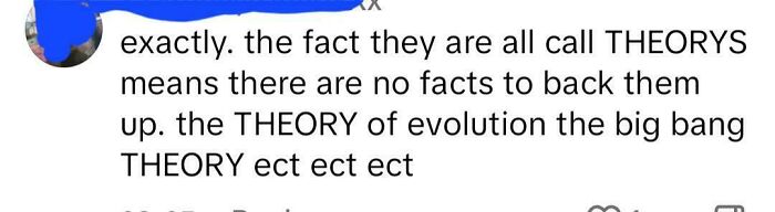 A comment stating that theories have no facts to back them up, mentioning the theory of evolution and the big bang theory. This is an example of dumb people on the internet.