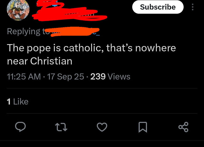 A screenshot of a social media comment stating, The pope is catholic, that's nowhere near Christian. This exemplifies dumb people and their low IQ on the internet.