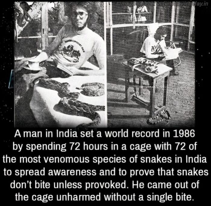 A man in a cage with numerous snakes, an amazing world record feat from 1986.
