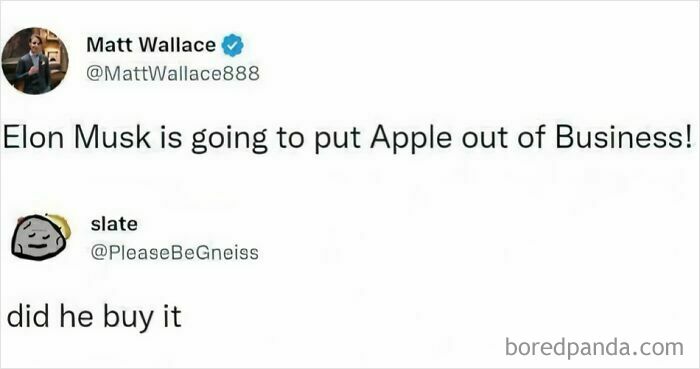 A screenshot of a tweet where someone asks if Elon Musk bought Apple after a post about verbal knockouts.