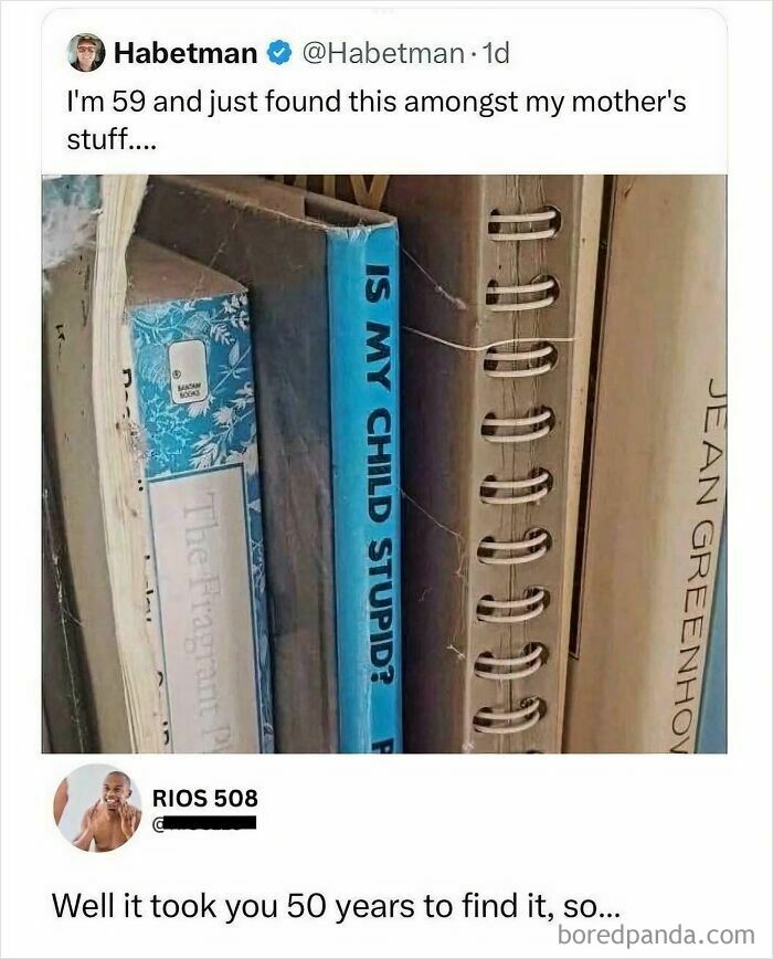 A close-up of a book titled Is My Child Stupid? among other books, a savage verbal knockout found by a 59-year-old.