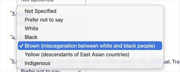 A dropdown menu for race on a job application with an offensive definition of 'Brown', reflecting recruiting hell.