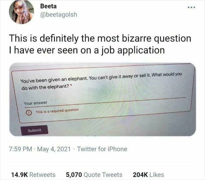 A tweet showing a bizarre job application question about owning an elephant, illustrating recruiting hell for a new job.