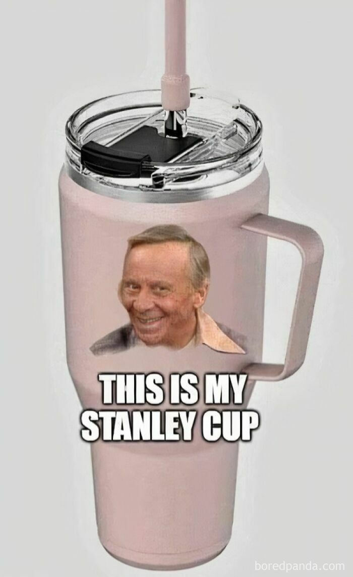 A meme of a Stanley cup with Buddy Hackett's face and the text This Is My Stanley Cup for Gen X humor.