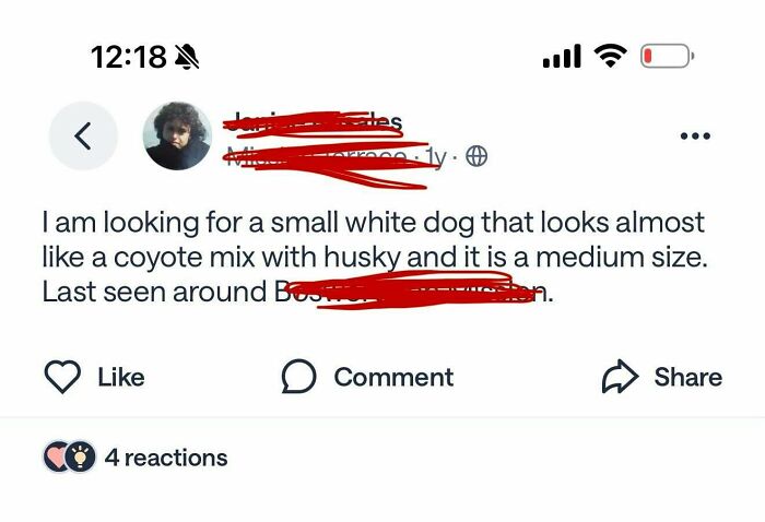 A screenshot from a neighborhood online community showing a humorous post about a lost dog that is a coyote mix.