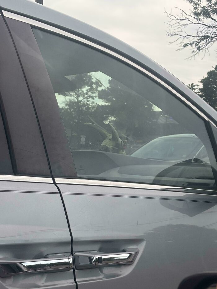 A car with a deer skull on the dashboard, a dangerous and completely unnecessary sight that could be distracting.